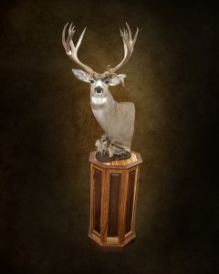 Whitetail Pedestal Mount      